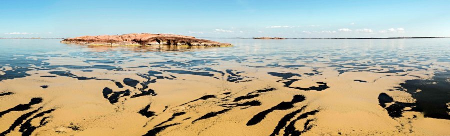 Algal blooms  in the Archipelago Sea.